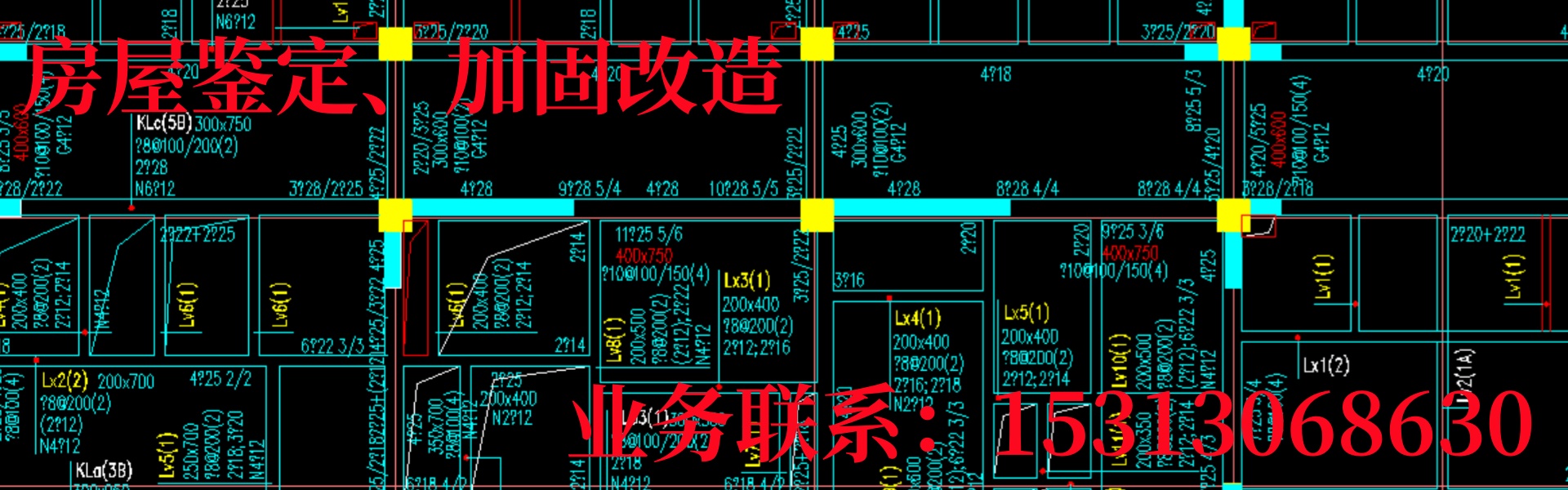 检测鉴定